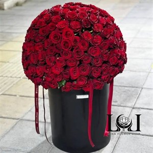 باکس گل رز قرمز ۲۵۰ شاخه