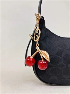کیف زنانه همایلی چری کواچ COACH کد 1648