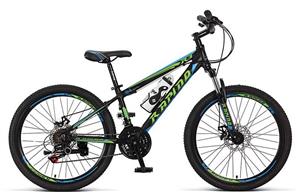 دوچرخه Rapido pro4 29 2018