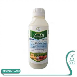 سم قارچ کش اینفینیتو بایر آلمان 600 سی سی