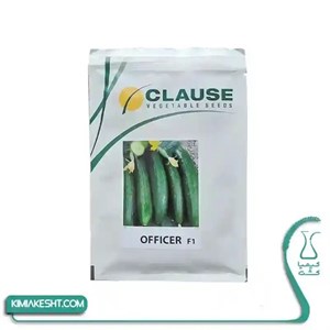 بذر  خیار افیسر کلوز فرانسه 2500 عددی