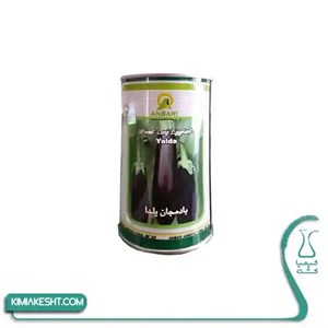 بذر بادمجان یلدا عنبری 100 گرمی