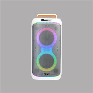 اسپیکر شارژی آیوا AW-X1653DSP