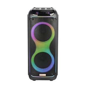 اسپیکر حرفه ای مکسیدر CN-10E48
