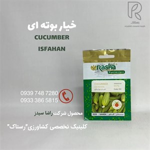  بذر خیار بوته ای ۲گرم