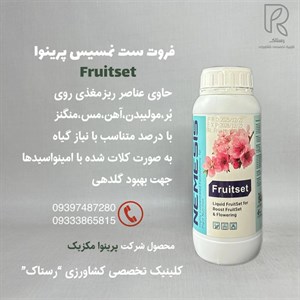 فروت ست نمسیس پرینوا مکزیک ۱ لیتری
