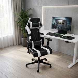 صندلی گیمینگ ریزر مدل RAZER2024 مبلمان نوراس مدل 14117741