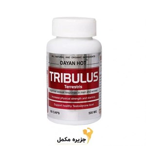 تریبولوس دایان‌ هات دایان فارما 60 عدد | TRIBULUS DAYAN HOT