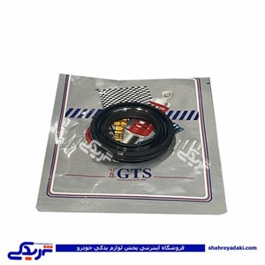 کاسه نمد ژامبون ( اکسل عقب ) پژو 206 GTS کد 11038