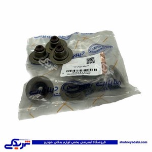 لاستیک سوپاپ تیبا دینا پارت 2502023