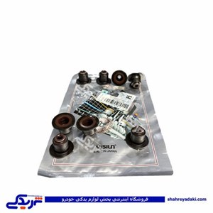 لاستیک سوپاپ پژو سمند EF7 ویژن SV0084A00