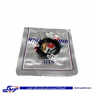 کاسه نمد اویل پمپ جلو میل لنگ پراید GTS کد 11006