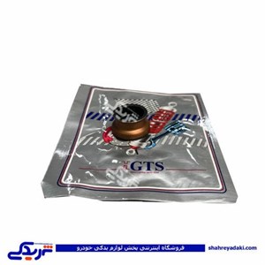 کاسه نمد قیفی ماهک پراید دنده GTS کد 11010