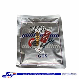 کاسه نمد عقب میل لنگ پیکان GTS کد 11028