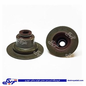 لاستیک سوپاپ تیبا ویژن SV0047C00