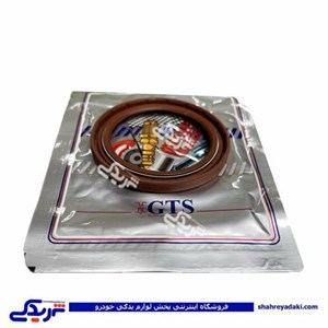 کاسه نمد توربین گیربکس پژو 206 و 207 اتوماتیک GTS کد 11041