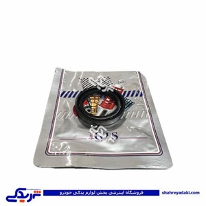 کاسه نمد پلوس پراید GTS کد 11002