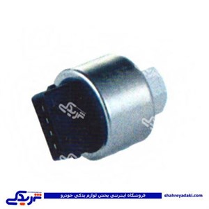 فشنگی سه کاره کولر پژو 405 و زانتیا (مهره,کلید) دیناپارت1201155