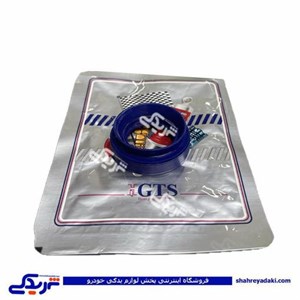 پژو کاسه نمد پلوس 206 کوچک  GTS کد 11037