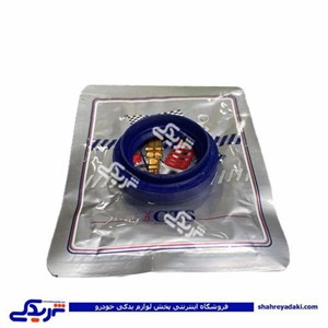 پژو کاسه نمد پلوس 206 بزرگ  GTS کد 11036