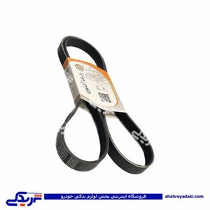 تسمه دینام پژو 206 تیپ 2 1564 رایکالتون 122200002