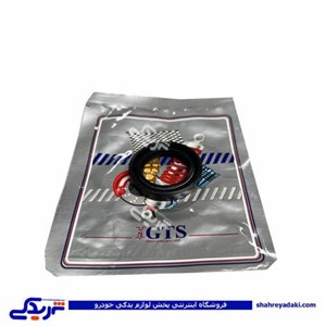 پراید کاسه نمد میل سوپاپ GTS 9000240113 کد 11007
