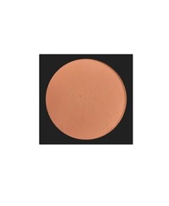رژگونه لاکچری کوین شماره 412Luxury Coin Blush 412