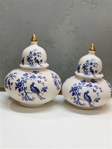 کندی دوقلو سیمرغ ابی