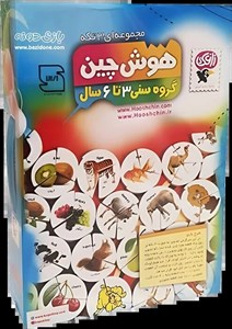 بازی هوش چین مجموعه سه تکه مدل زاغک