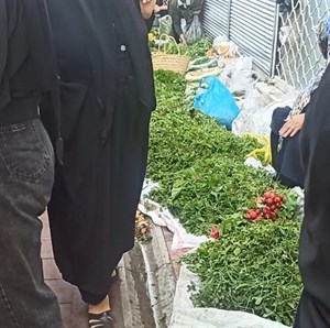 سبزی آماده مخصوص قورمه سبزی