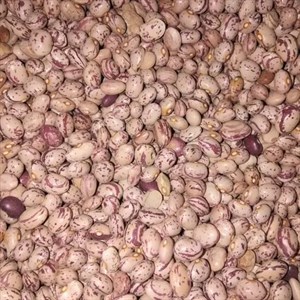 لوبیا چیتی درجه یک خمین 1 کیلوگرم