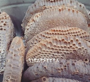 عسل باموم طبیعی  کندوان  (یک کیلو)