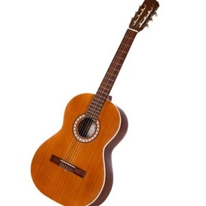 گیتار کلاسیک پارسی مدل m5