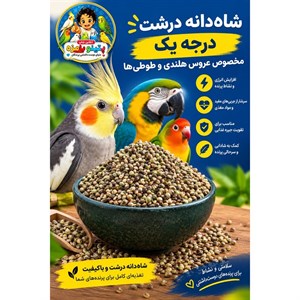شاهدانه درشت درجه یک