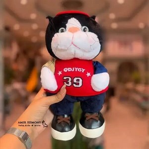 گربه کلاسیک کیدزلند
