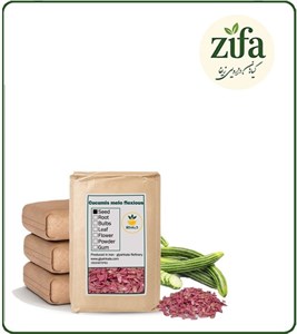 بذر خیار چنبر خشک فله