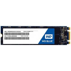 حافظه اس اس دی وسترن دیجیتال SSD M.2 WD Blue ظرفیت 250 گیگابایت 