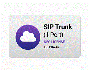 لایسنس 1 کاناله SIP Trunk / IP Trunk 