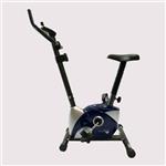 دوچرخه ثابت پاندا B533 Panda B533 Stationary Bike