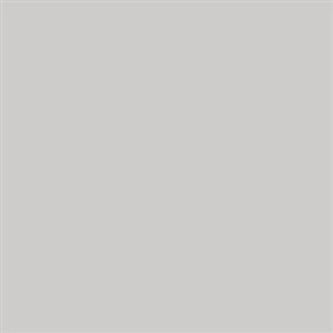 فون کاغذی Savage Widetone Seamless #60 Focus Gray