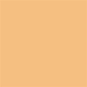 فون کاغذی Savage Widetone Seamless #55 Autumn