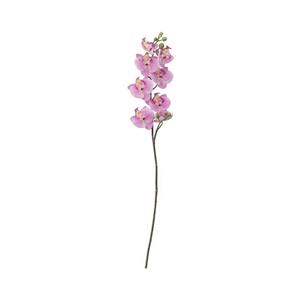 شاخه گل ارکیده ایکیا مدل SMYCKA سایز 60 سانتیمتری 