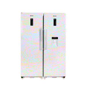 یخچال و فریزر دوقلو بنس مدل D4i Beness Refrigerator 