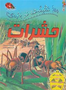 کتاب 100 حقیقت درباره ی حشرات اثر استیو پارکر 