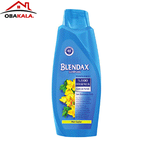 شام بلندکس برای موهای مات Blendax mat حجم 500 میل 