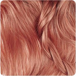 رنگ مو بیول شماره 8.24 بلوند فندقی روشن 100 میلی لیتر Biol Hair Color Hazelnut Series 100ml
