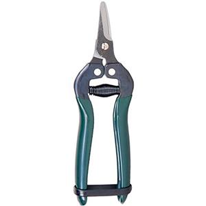 قیچی میوه چین 6 اینچی بهکو مدل BP-1651