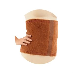 گرمکن کلیه شتری سما طب پاکان