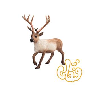 گوزن شمالی Reindeer 387186