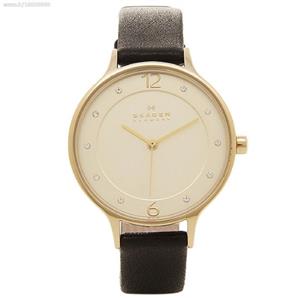 ساعت مچی عقربه ای زنانه اسکاژن دانمارک کد SKW2266 SKAGEN DENMARK SKW2266 WATCH FOR WOMEN